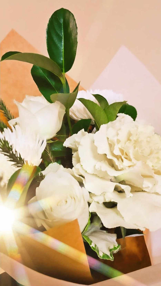 Chic Beginnings: Fashionably Launching Your Dream Store