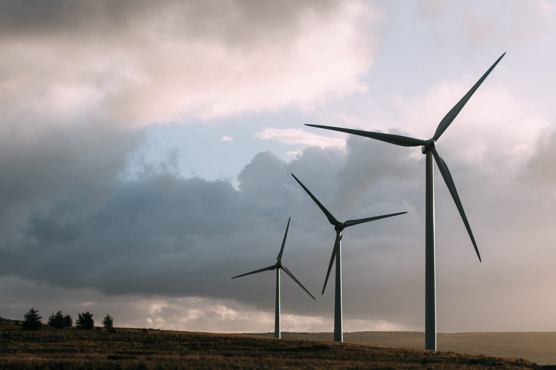 The Beginners Guide To Eco-Friendly Living