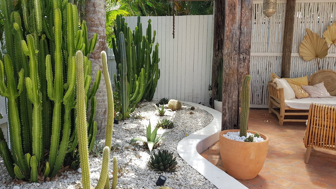 How to Make the Most of a Big Backyard