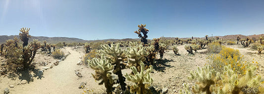 DESERT DIARIES | Lessons From the Road