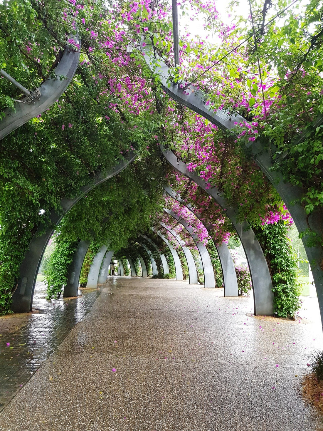 5 Ways to Explore Brisbane, Queensland’s Capital City