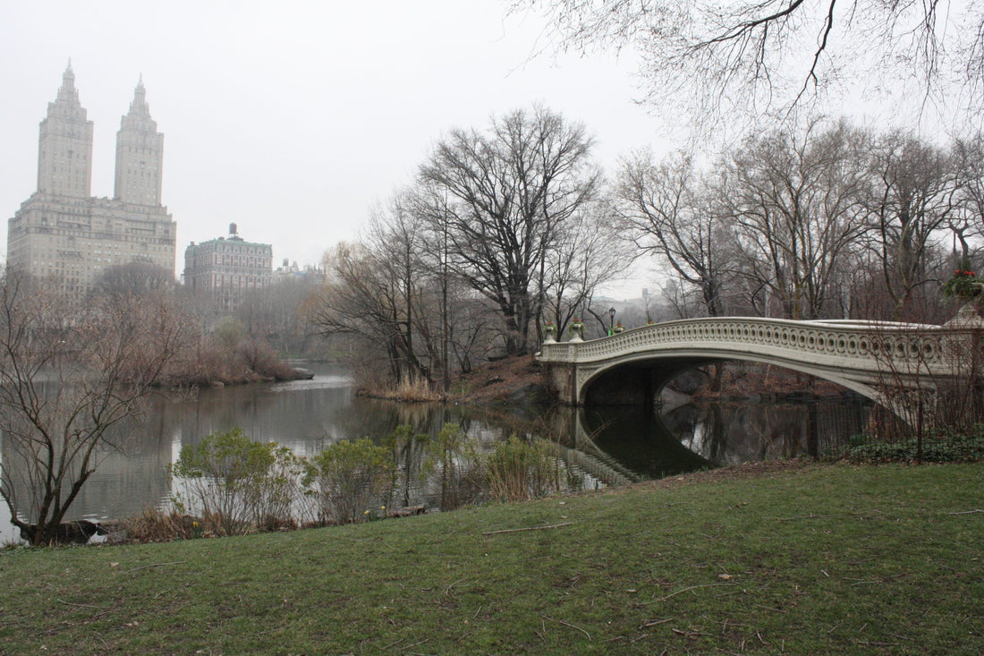 Memories of New York City and Why It Feels Like Home