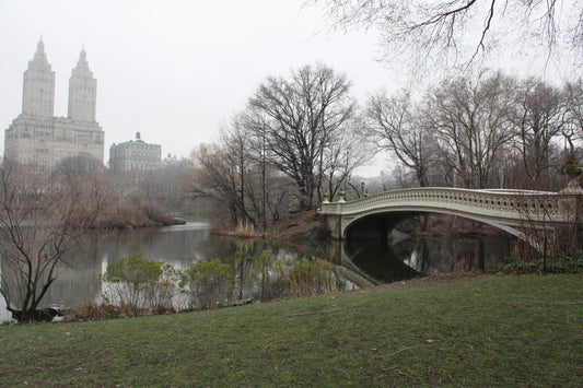 Memories of New York City and Why It Feels Like Home
