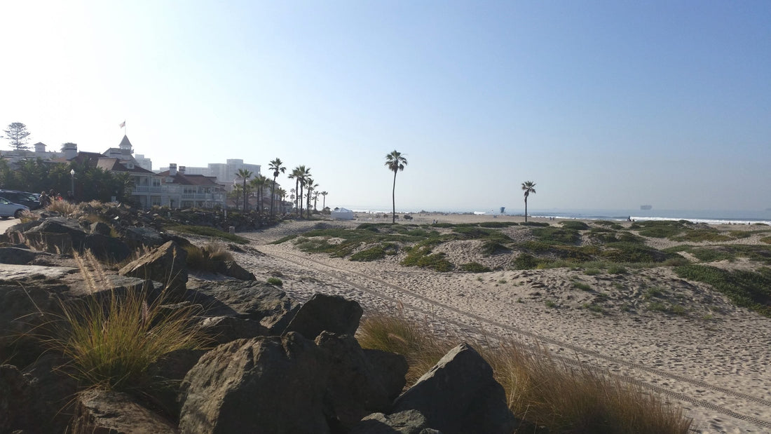 West Coast Winning: Planning Your Perfect Stay In San Diego