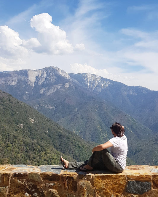 Scenic Sequoia National Park Travel Vlog