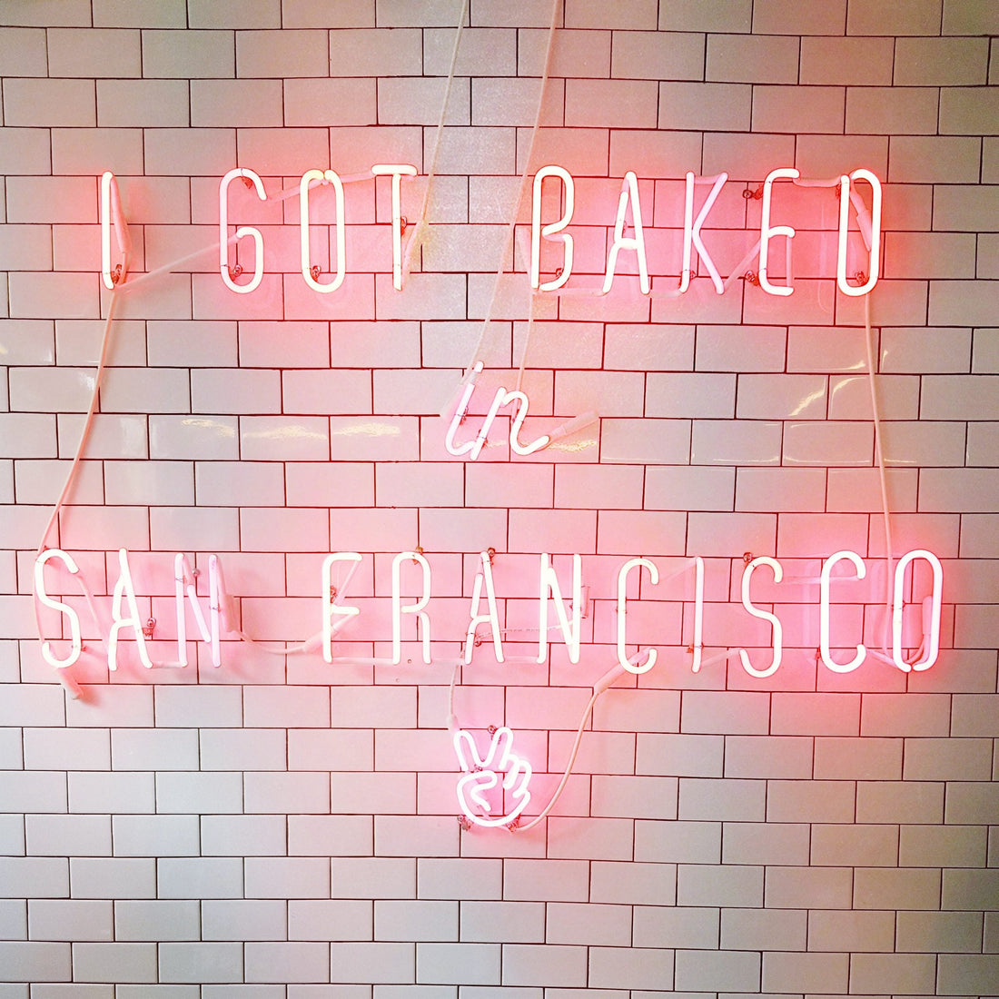 Super Fun San Francisco | California Travel Vlog