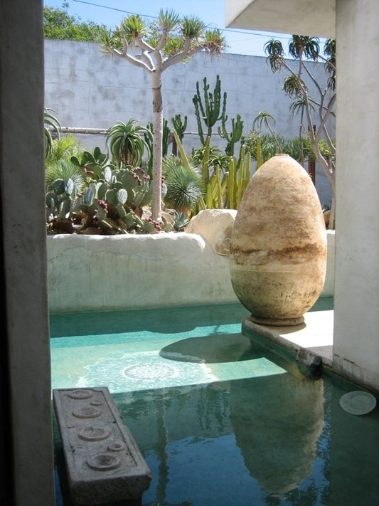 4 EASY WAYS TO CREATE VENICE BEACH VIBES IN YOUR INTERIOR